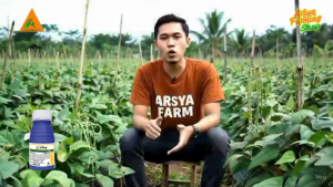 ALIKA 247 ZC 100 ML Kemasan Pabrik Insektisida Hama Kutu Tanaman