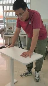 GUANGMANZHI | Height Adjustable Desk