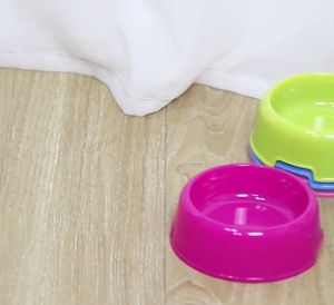 ชามให้อาหารแมว สุนัข สัตว์เลี้ยง ชามพลาสติก มีให้เลือก 2แบบ หลุมเดียว หลุมคู่