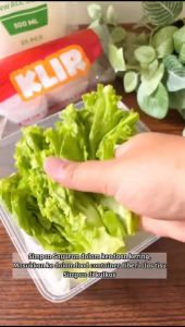 Thinwall bowl KLIR 300 ml / Tempat makan plastik 300ml / tempat makan plastik / Thinwall mangkok 300ml + tutup / bulat / bowl tempat makan plastik bening KLIR - ANTI BOCOR - ANTI PECAH isi 25pcs /  tempat makan anti jamur