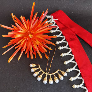 Elegant Ancient Chinese Hairpin Set with Tassel And Flower Decorations Sòng Dynasty Style Hair Accessories Alloy Material
