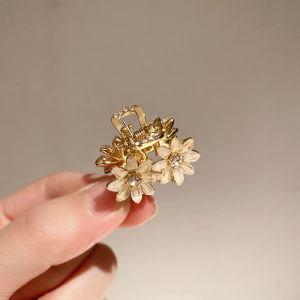 Mini Butterfly Hair Clip Half Updo Hair Accessories Bangs Clamp Small Grab Clamp High End Clamp Fresh out Fashion Accessories