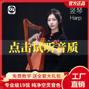 Walter Ireland Harp 19-String 15-String Kael Large Harp Beginner Professional Grading Classical Small Harp