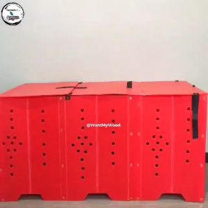 Folding Plastic Cage - 3 Division Tatluhan pang sabong na manok