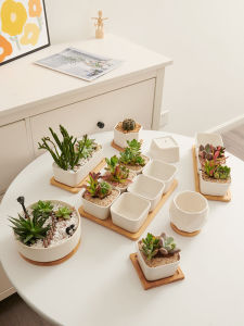Small Ceramic Succulent Planters Rectangular Cactus Special White Flower Pots with Tray Desktop Greenery Simple Style
