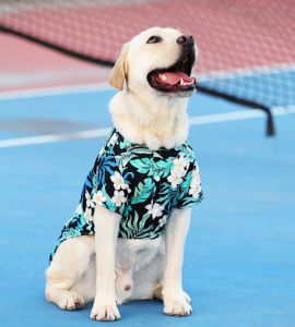 Pet Clothes Summer Shirt Thin Shirt Large Dog Clothes Golden Retriever Labrador Pet Hawaiian Shirt