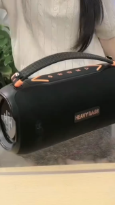 Loa Heavy Bass 10 Công Xuất 30W