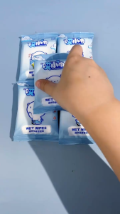 10-Pack Travel-Sized Baby Wet Wipes Gentle Non-Irritating Portable Mini Wipes for Sensitive Skin Soft & Mild On-the-Go Cleaning Wipes for Babies and Toddlers