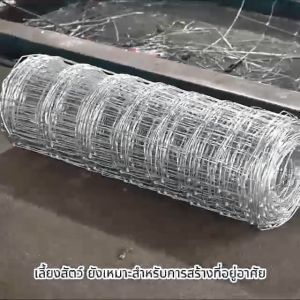 ส่งฟรี ตา4x4 ยาว30m/50m ลวดตาข่ายถักปม รั้วตาข่ายแรงดึง ลวดตาข่ายถัก รั้วลวดตาข่าย รั้วเกษตร ตะข่ายล้อมแพะ/แกะ/วัว ตาข่ายสำเร็จรูป ลวดเหล็กรั้วบ้าน