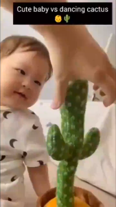 FAMILY`S CHOICE Kids Cactus Toy Dancing Talking 120 Songs with LED Light Up Rechargeable Plush Cactus Boys and Girls Birthday Gift