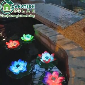 Đèn hoa sen năng lượng mặt trời cảm biến ánh sáng chống nước dùng để trang trí thả bể cá ao hồ