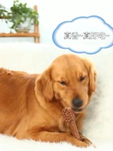 Dog dental chew bones pet molar griding bone for oral hygiene