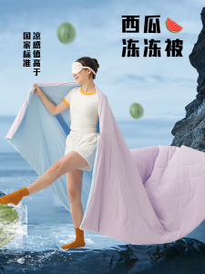Watermelon Pattern Ice Silk Thin Summer Cooling Quilt Air Conditioner Cover Comforter Lightweight Breathable Machine Washable