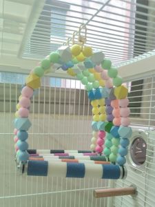 Parrot Frosted Swing Toy Bird Cage Ring Stand Rod Rainbow Swing Parrot Bite Toy Tiger Skin Xuanfeng Peony