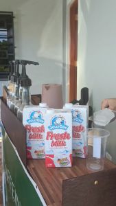 JOLLYCOW Fresh Milk 1L Pack of 12 -Creamy Nutritious Milk for the Whole Family