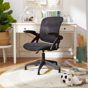 BOJOJAN | Adjustable Student Study Chair for Writing and Computer