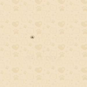 Olive Care Minyak Ikan Kucing SALMONIC Murni dan Alami Non-GMO Tinggi Omega 3 EPA DHA dan Omega 6 Fish Oil untuk Pertumbuhann