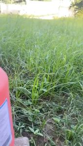 BioGent Liquid Detergent and Fabric Conditioner Bulk Order