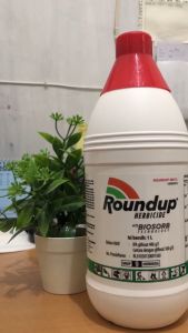 Paket Hemat Herbisida Roundup 1L & Insektisida Regent Blue 250ml Obat Tanaman