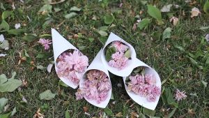 Wedding Confetti Cone Stand Box - 30pcs Of Cone Papers And 30holes For 30 Confetti Cones Box