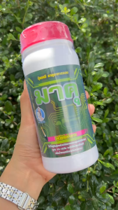 ️มาคุ ฝาแดง 500cc ปุ๋ยทาหน้ายาง ช่วยเพิ่มประสิทธิภาพ พร้อมบำรุงหน้ายาง ของแท้100% ฮอร์โมนทาหน้ายางพารา