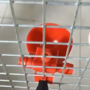 5/10/25Pcs Automatic chicken drinker bowl Plastic hanging water cups for poultry quail birds pigeon