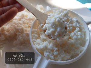 1 phần nấm sữa kefir + 1 vợt nhựa nấm sữa làm sữa chua rây lọc bằng nhựalọc trà hay lọc nấm sữa kefir rây bột