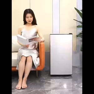 Ice Bear BD-158LK268 upright freezer ( local stocks warranty3pin plug)