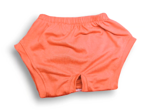 PawEver99 Pet Shorts