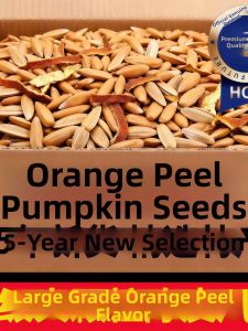 Orange Peel Flavor Super Large Ancient Method Pumpkin Seeds 5jin