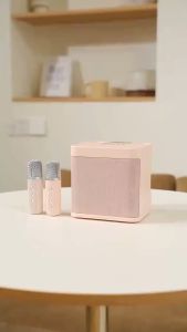 Philins 3D Stereo Wireless Karaoke System with Dual Bluetooth Microphones and Long Battery Life