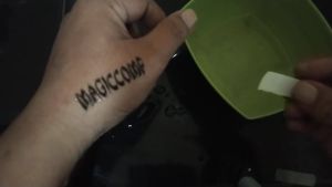 TATO TEMPORER SUCH A PRETTY HOUSE GARDEN