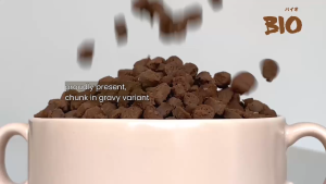 Bio Cat Pouch 80gr Chunk In Gravy