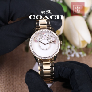 Đồng Hồ Thời Trang Nữ Coach Quartz 14503777 36mm - Đồng Hồ Tân Tân
