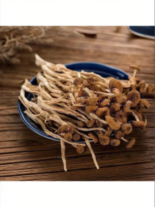 Fresh Tea Tree Mushroom 500g