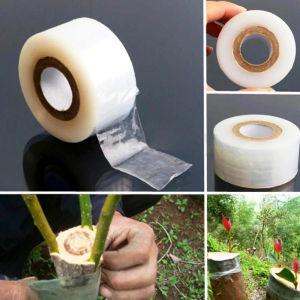Roll Tape Parafilm Pruning Stretch Graft Budding Barrier Floristry Pruner Plant Fruit Tree Nursery Moisture Garden Repair Seedle