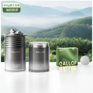 GALLOP | Lasting Fragrance Odor Removal Solid Air Freshener