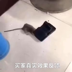 Feyhlong กับดักหนู กับดักหนูสปริง ความไวสูง ที่ดักหนู อุปกรณ์ดักหนู แบบสปริง เหยื่อดักหนู