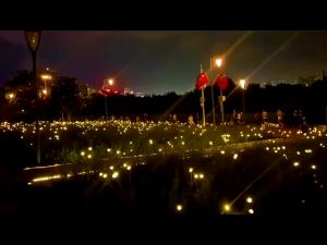 SG Stock 8PCS Outdoor Solar Light Waterproof Lawn Lights Swing Fireflies Light For Garden Holiday Decoration