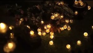 Dây led bi bọt dài 10M - 50M đủ màu từ 32 - 50 bóng đèn đèn trang trí bi bọt cherry ball vàng ấm và đủ màu dây đen dài trang trí tết nhà cửa đèn nháy trang trí noel giá rẻ đèn led trang trí tết nháy nhiều kiểu nhiều chế độ