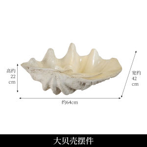 Modern American Home Decor Shell Shells Display Stand Living Room Sample Room Showcase Decoration Tray Storage Creative
