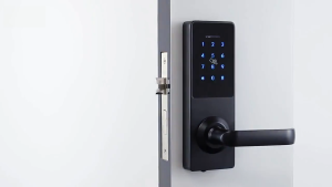 Zenith Smart Door Lock (MTA-6675)