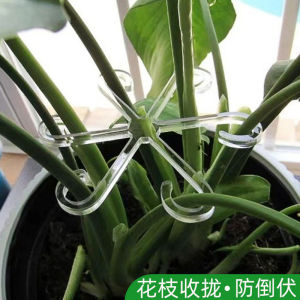 Ghim Đỡ Hoa Treo Trong Suốt Chống Gió Cho Cây Thủy Canh Và Cây Cảnh Trong Vườn Giữ Thẳng Thân Cây Và Thu Nhỏ