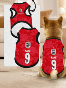 LEXI | Football Fan Pets England Jersey Anti-shedding for Dogs Cats