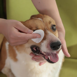 Pet Eye Wipes Cat Dog Eye Cleaner Paper Tissue Safe Non-toxic Aloe Wipes Tear Stain Remover 300pcs