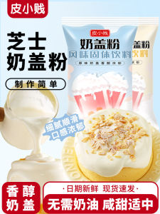 Peixiaojiang Salted Cheese Milk Foam Powder No Cream Whipping for Tea Shops Beverage Ingredients Explosive Drink Raw Materials