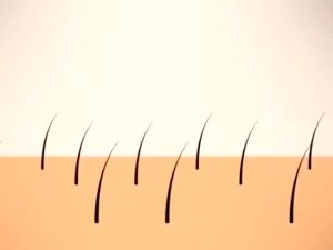 beard growth beard oil Minyak Jambang Pelebat Jambang Beard Serum beard growth oil pelebat rambut 生长胡须增长精华液