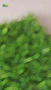 Rumput Sintetis Jepang Ukuran 2x1 Meter Untuk Dekorasi Outdoor Dari RDA Official