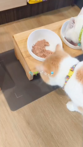 แผ่นกันมด แมลง ปลวก ปลอดภัยต่อมนุษย์และสัตว์เลี้ยงลูกด้วยนม เห็นผลภายใน 1-10 วัน 🐜 แผ่นรองกันมด