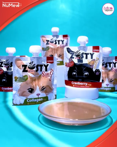 NuMew Zesty Soup Adult Cat Treat - Cranberry/Chicken Collagen 80g Pouch